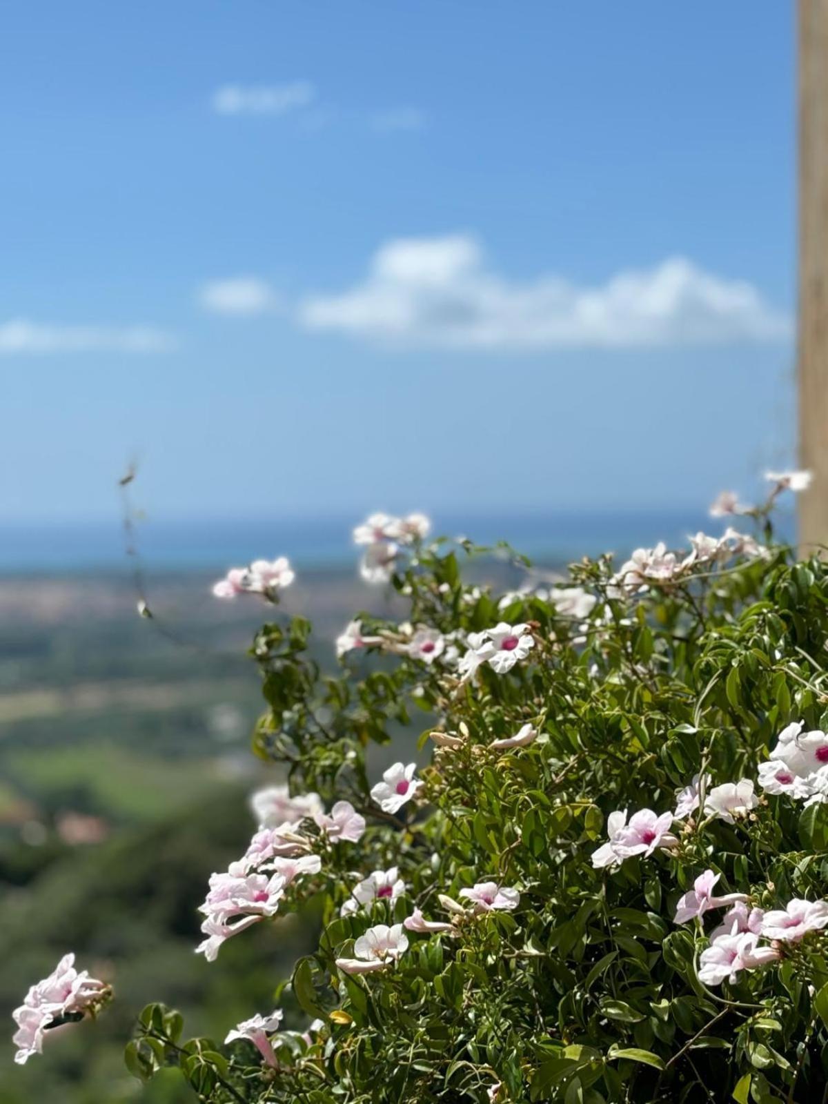 La Casa Delle Stelle Διαμέρισμα Tirli Εξωτερικό φωτογραφία